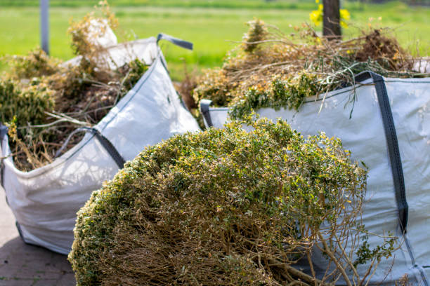 Best Yard Cleanup Services  in Kettering, MD